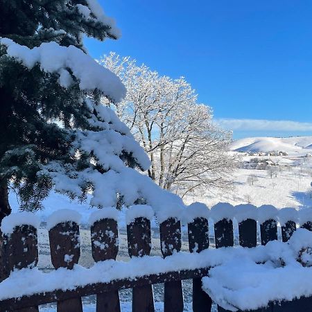 Guest House Vila Djokic Zlatibor Exterior photo
