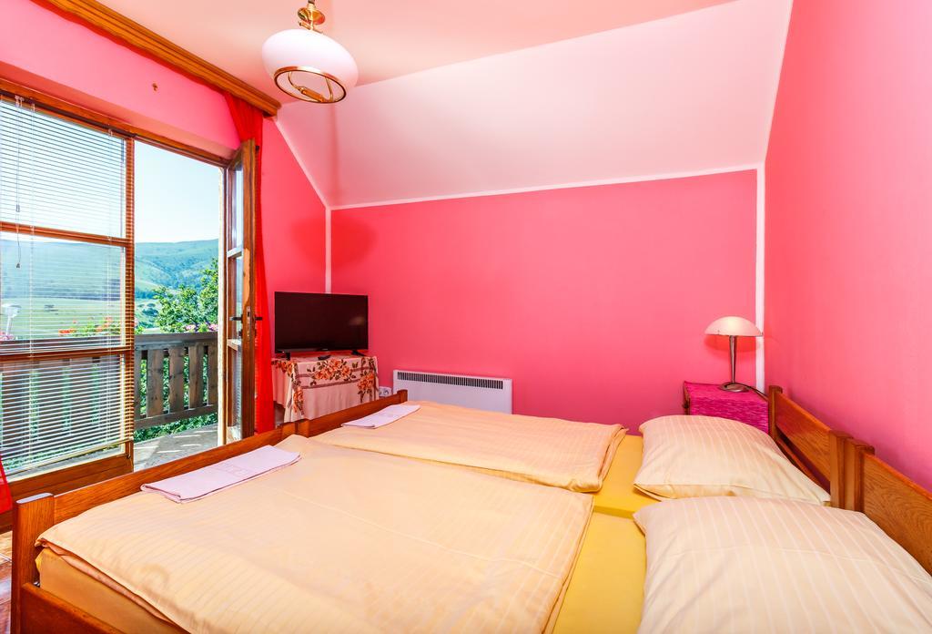 Guest House Vila Djokic Zlatibor Exterior photo