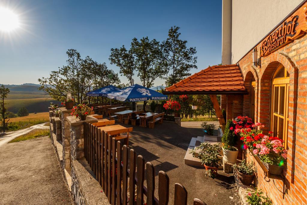Guest House Vila Djokic Zlatibor Exterior photo