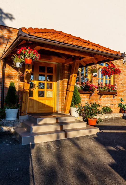 Guest House Vila Djokic Zlatibor Exterior photo